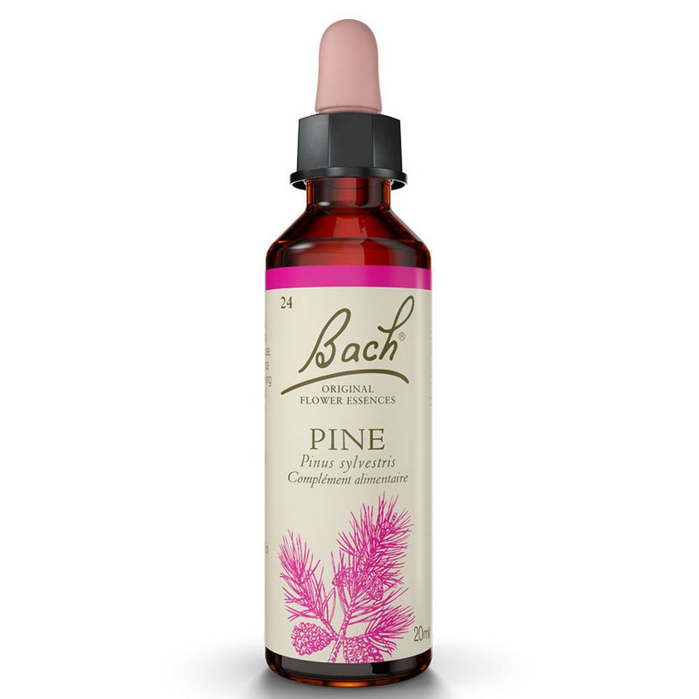 bach flowers oak 20ml original oak Bach Flowers 20ml Oak Original OAK: The Oak (Quercus robur) is generally strong and courageous.