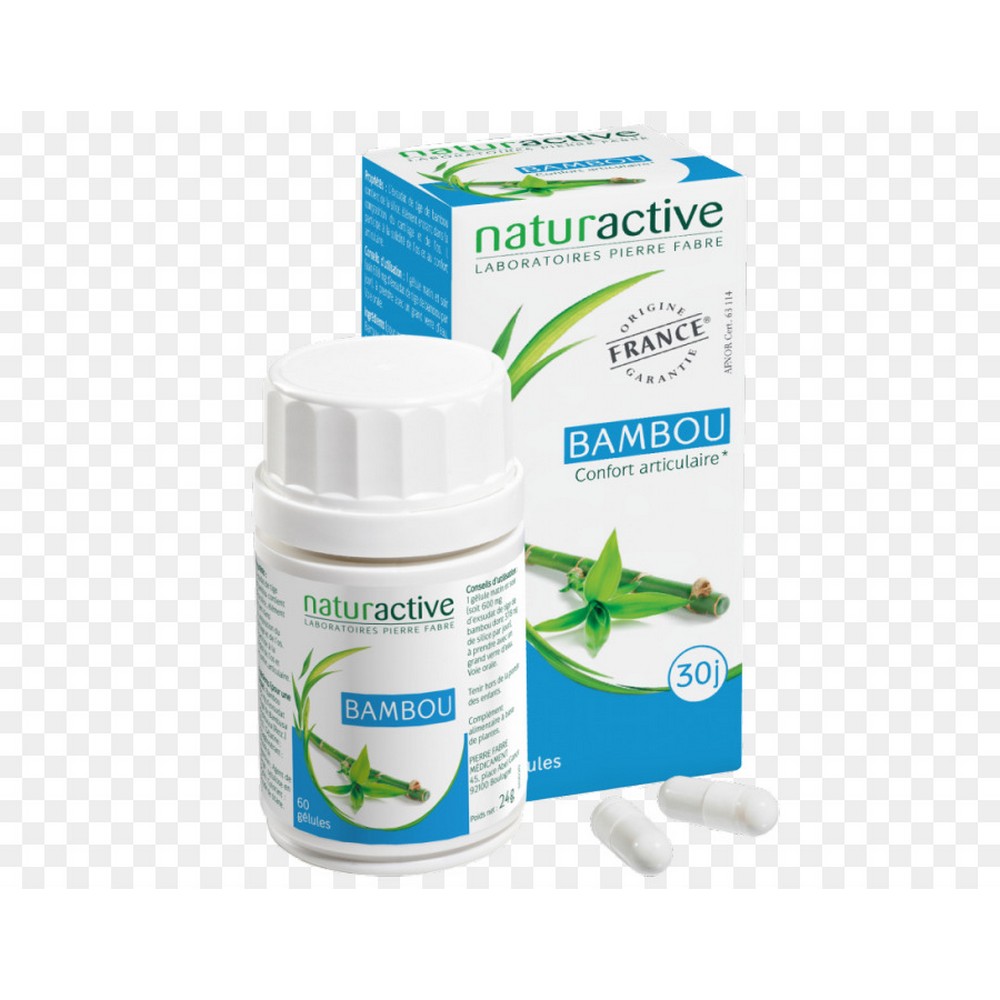 bamboo 60 The extraordinary family of Bamboos has more than 1,300 species! Thorny bamboo is distinguished by an exceptional mineral content. The exudate extracted from the stem contains silica which contributes to bone strength and joint comfort .