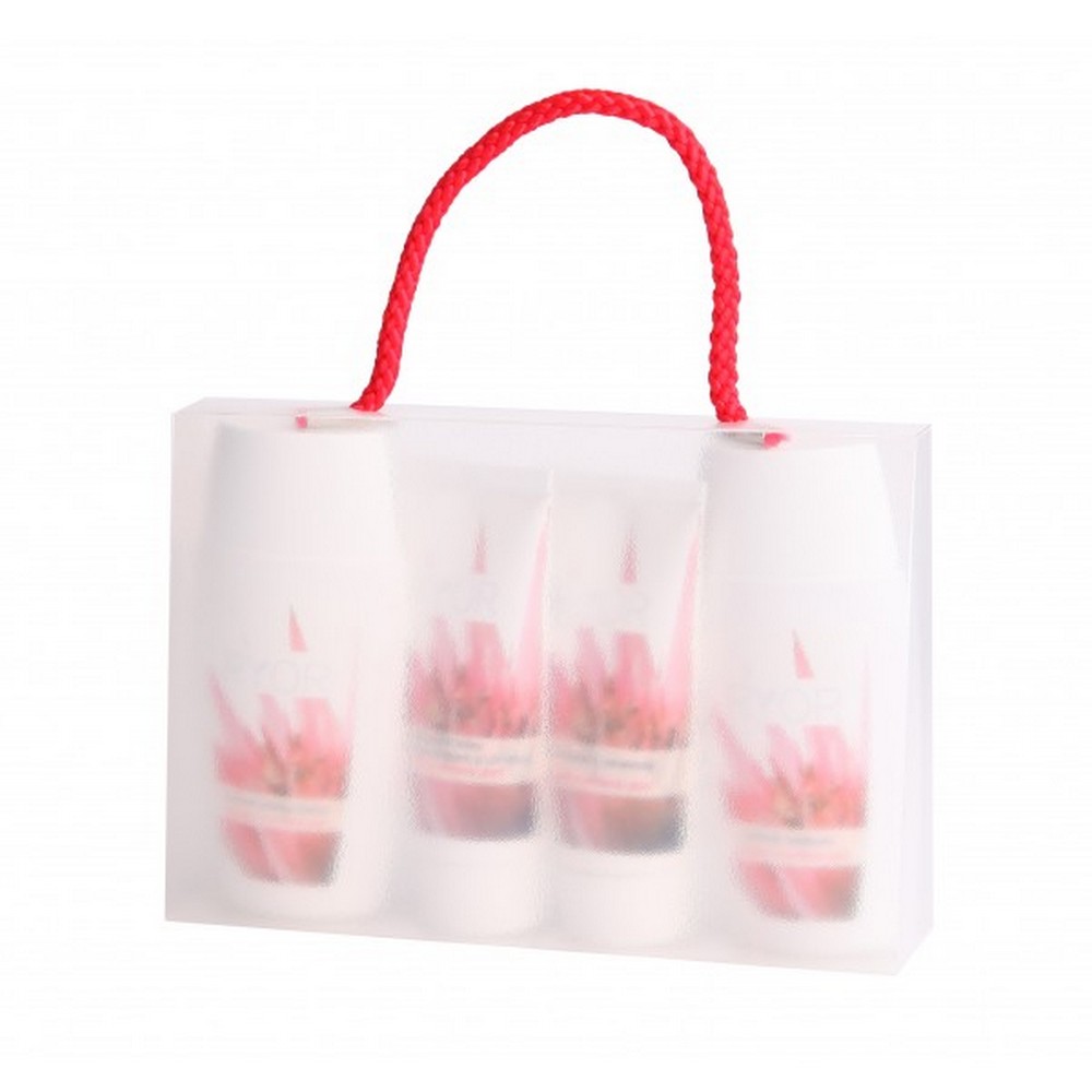 ryor travel pack suitable for normal and combination skin 160 g The travel package contains products for normal and combination skin, which favorably contribute to its overall regeneration.