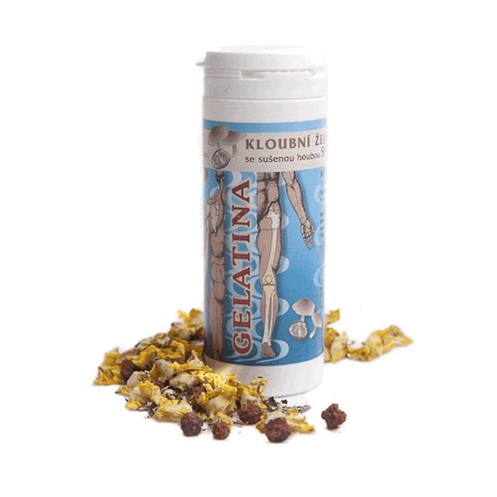 Articulated Gelatin with Shi take sponge 100pcs Pharmacyapozona